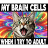 An intelligently humorous cat