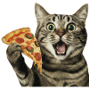 Chat pizza