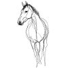 Cheval Line Art