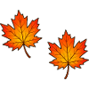 Autumnal Maple Leaves Illustration