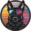 Cool dog with sunglasses