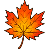 Autumnal maple leaf print