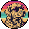 Chilling with sunglasses Golden Retriever