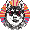 Casual dog with retro style sunglasses