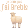 I can't I have sheep