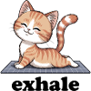 Exhale Yoga Citation Chat Mignon