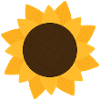 Sunny Sunflower Botanical Pattern