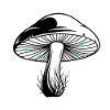 Mystical Forest Mushroom Illustration