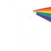 Raccoon with prism and rainbow spectrum