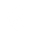 Chat-démon blanc japonais