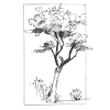 Tree sketch