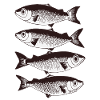 Stylised Fish Pattern 