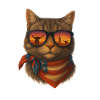 Funny cowboy cat with sunglasses