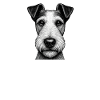 Papa fox-terrier