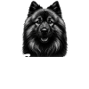 Eurasier Dad