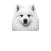 Japanese Spitz Dad Fantasy Design