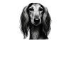 Saluki Dad