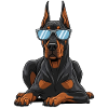 Cool Doberman with sunglasses
