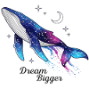 Dream Bigger Whale