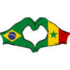 Brazil Senegal Flag Hands Heart Shape