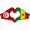 Tunisia Senegal Flag Hands Heart Shape