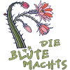 Cactus with flower and saying