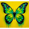Schmetterling