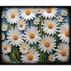 Blumenmuster Gänseblümchen Garten Hobby Design