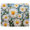 Daisy Garden Hobby Embroidery Design