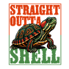 Red-eared Turtle