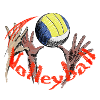 Volley-ball