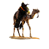Desert Camel