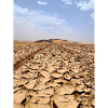 Desert sand and vehicle tracks