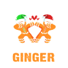 Gingerbread man Christmas gingerbread