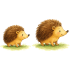 Niedliche Igel für Kinderkleidung