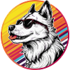 Casual husky with sunglasses