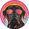 Chic dog with sunglasses