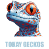 Tokay Geckos Tokay Gecko