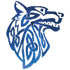 Loup viking et ciel étoilé