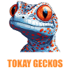 Tokay Geckos Tokay Gecko