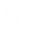 Viking White Wolf
