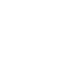 Skeleton Walking Dog Spooky Halloween Pet