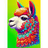 Alpaca