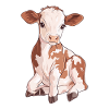 Vache