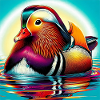 Mandarin duck