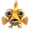 Fish face with big eyes