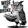 Wise but Broke Owl