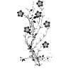 Fleurs éclatantes de contraste absolu