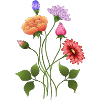 Blumen