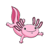 Illustration d’axolotl rose mignon